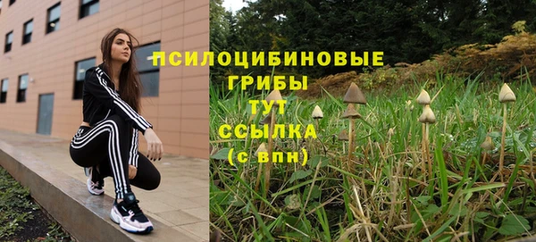 ALPHA PVP Каменногорск