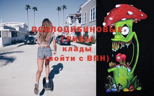 ALPHA PVP Каменногорск