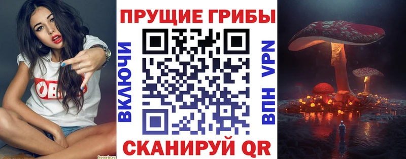 Псилоцибиновые грибы Psilocybe  это состав  Кандалакша  где продают наркотики 