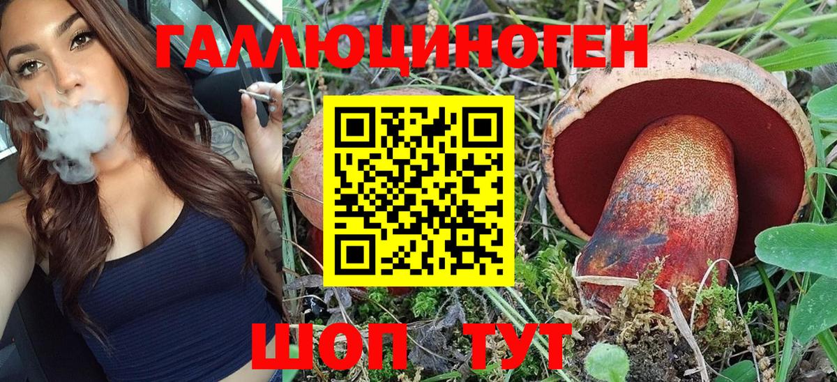 Псилоцибиновые грибы Psilocybe Кандалакша